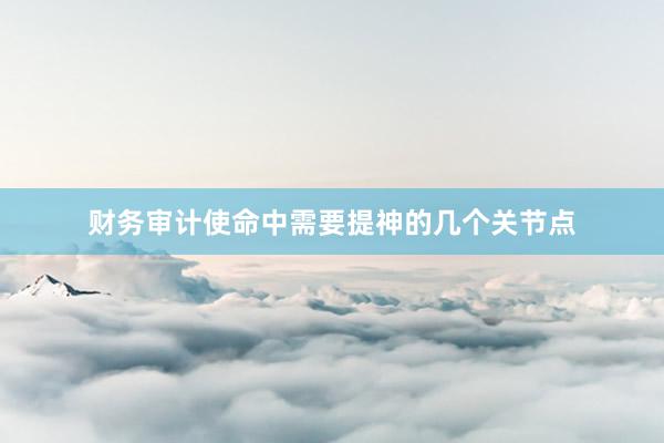 财务审计使命中需要提神的几个关节点